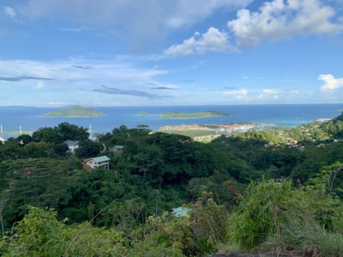 top seychelles sky 1117 gapaz - Morango Brasil